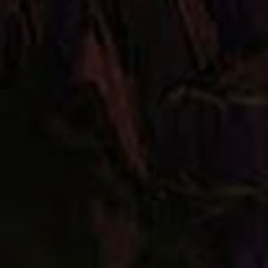 Meet your Posher, Alejandra